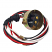 Zoomed View Of  Headlight Wiring Harness Pre Focus type headlights, with Bullet Connectors